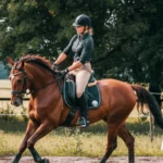 Sorec galop